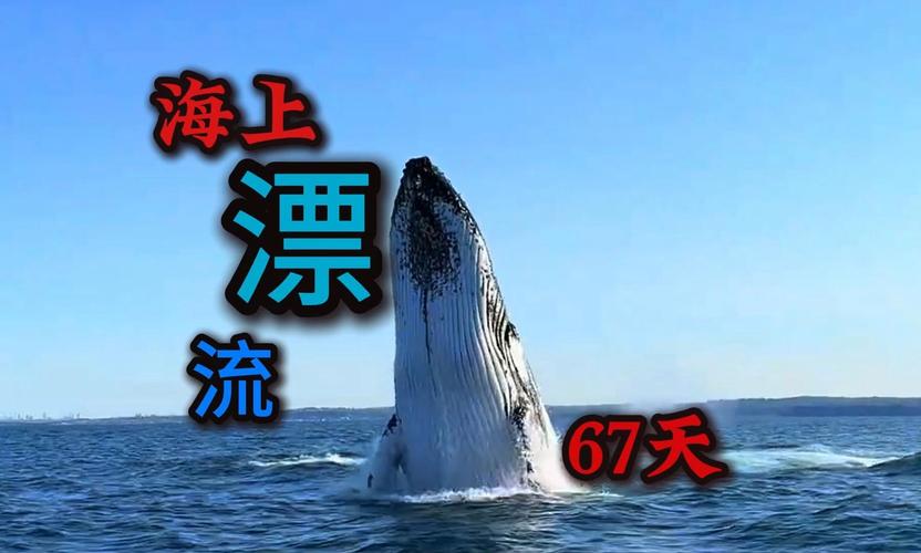 新澳门2025最新款免费和男子海上漂流7小时与男子海上漂流7小时视频