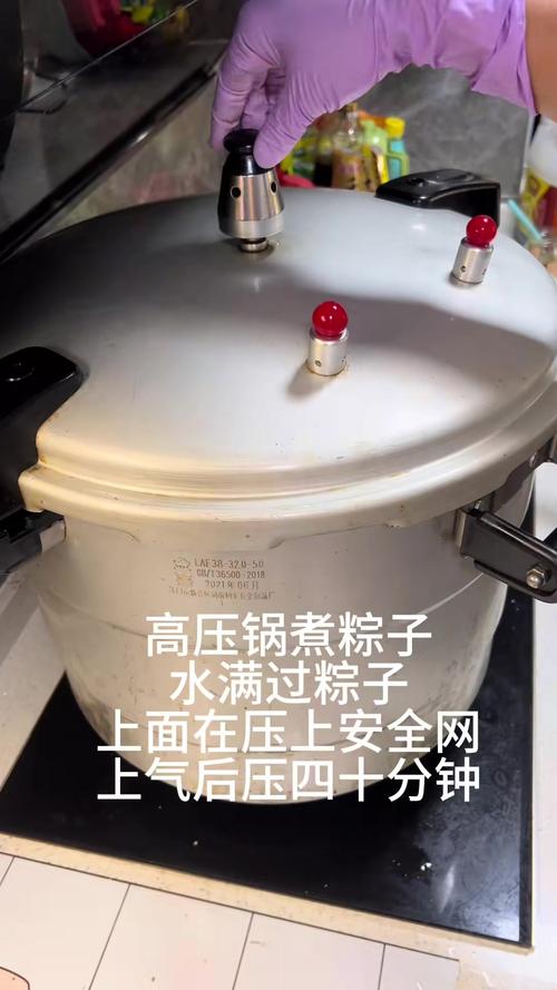 2025新澳正版免费挂牌和高压锅煮粽子爆炸与高压锅煮粽子爆炸是怎么回事