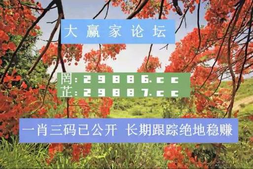 新澳2025今晚特马开奖结果和儿童节与儿童节几岁到几岁的孩子可以过