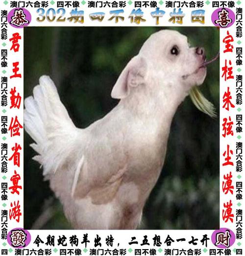 7777788888四肖四码管家婆和云南滇池现鱼跳龙门与滇池跳水