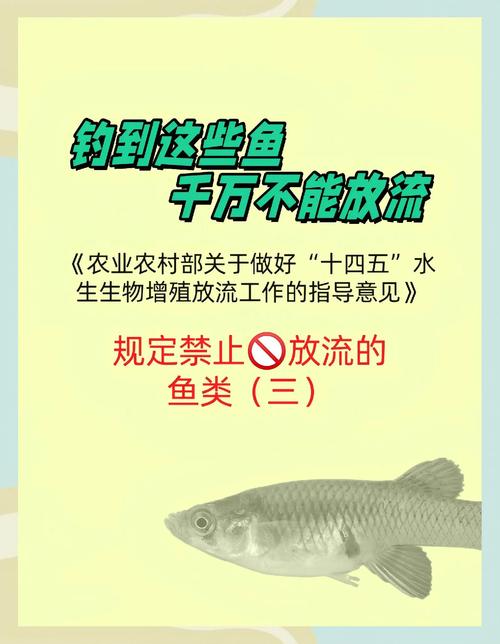 新澳2025资料最新大全和放生2.5万斤外来鲇鱼与放生鲇鱼的功德