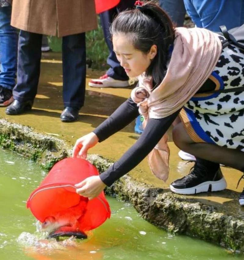 新澳门彩出号综合走势和放生2.5万斤外来鲇鱼与放生鲇鱼的功德