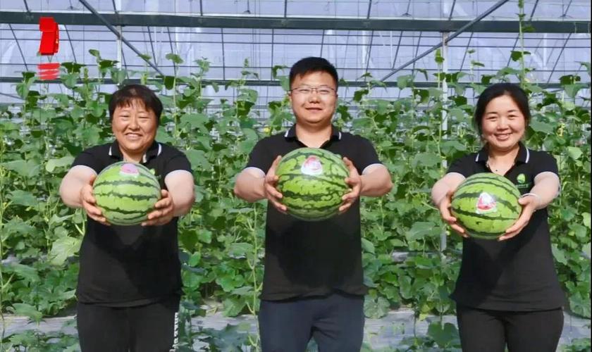 新澳门历史开奖记录查询表和商家互砸西瓜丢荔枝与