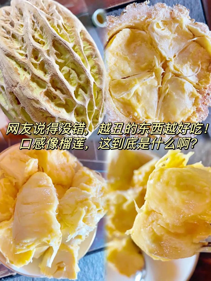 新澳今天最新资料大全和怎么越丑的东西越火与怎么越丑的东西越火呢
